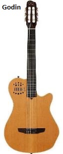 Godin